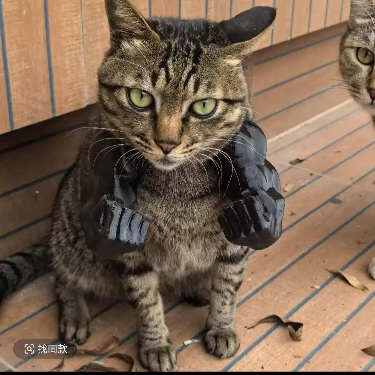 Cat muscle 3D toy