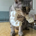 Cat muscle 3D toy