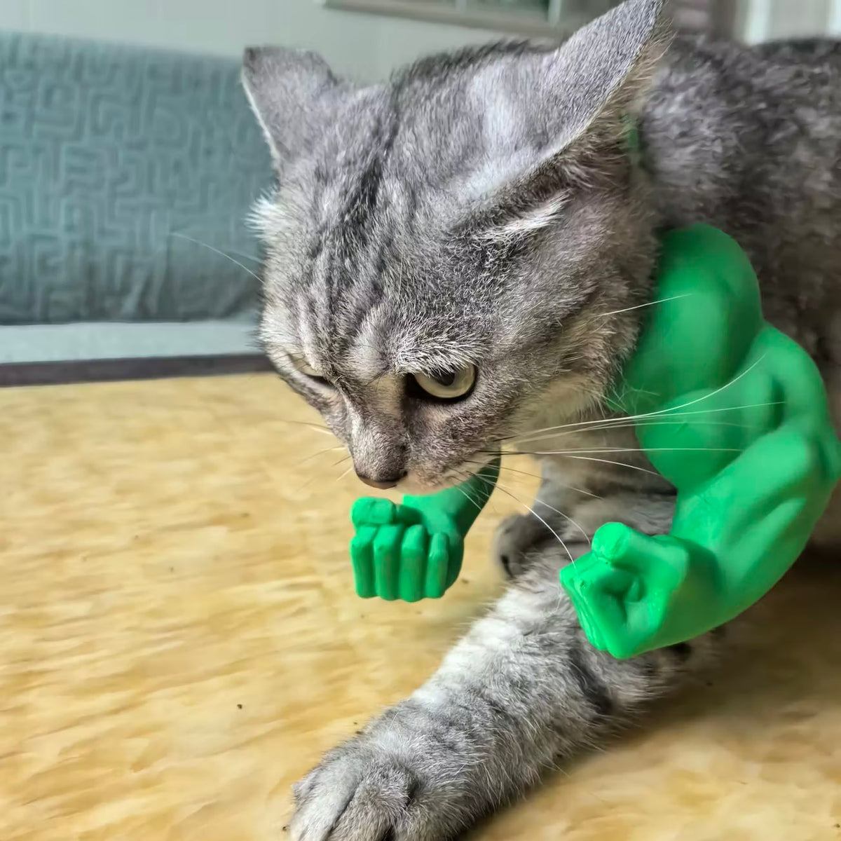 Cat muscle 3D toy