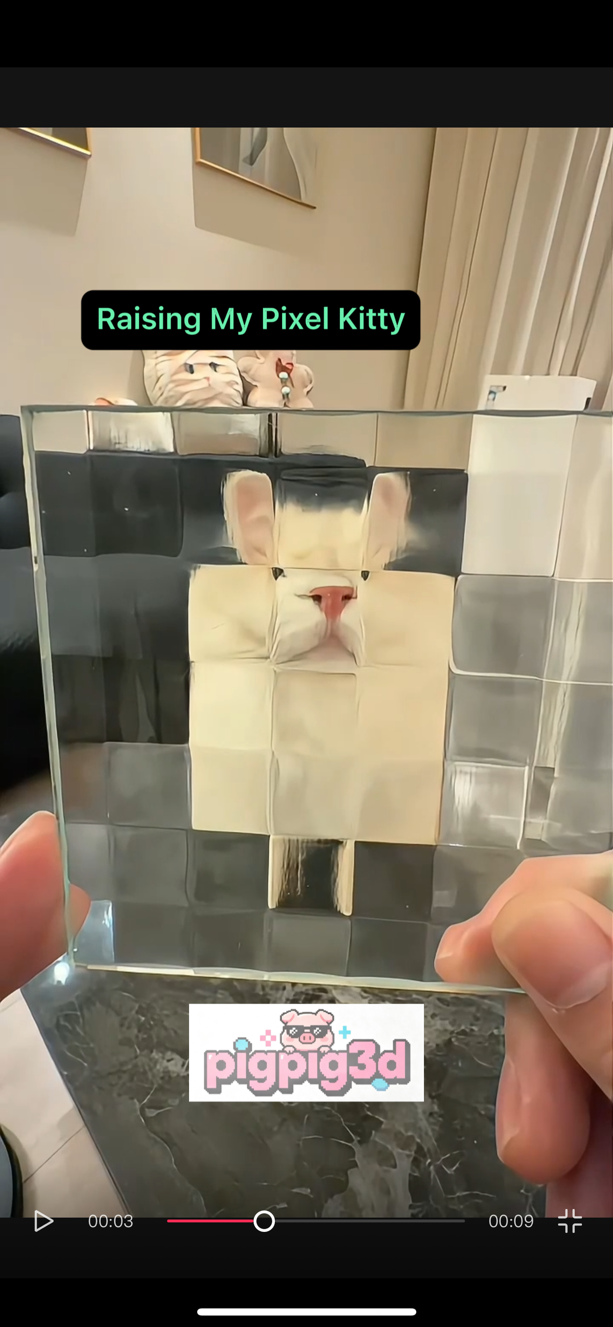 Pixelated Acrylic Photo Card Brick, Funny Meme Photography Prop, Transparent Pixel Face Filter Card, Cute Pet Photo Prop, Creative Desk Decor Gift