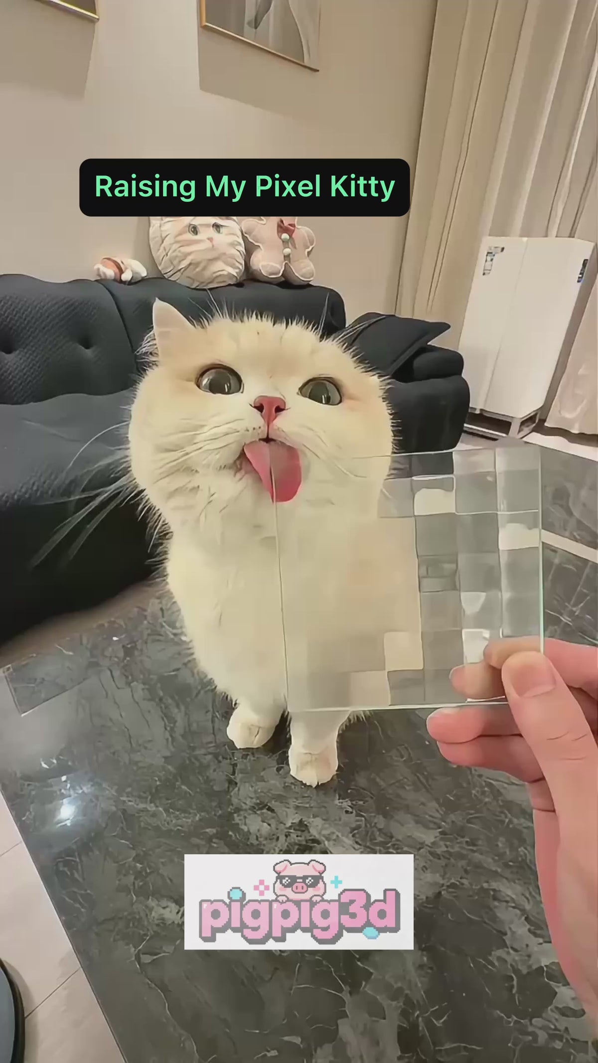 Pixelated Acrylic Photo Card Brick, Funny Meme Photography Prop, Transparent Pixel Face Filter Card, Cute Pet Photo Prop, Creative Desk Decor Gift