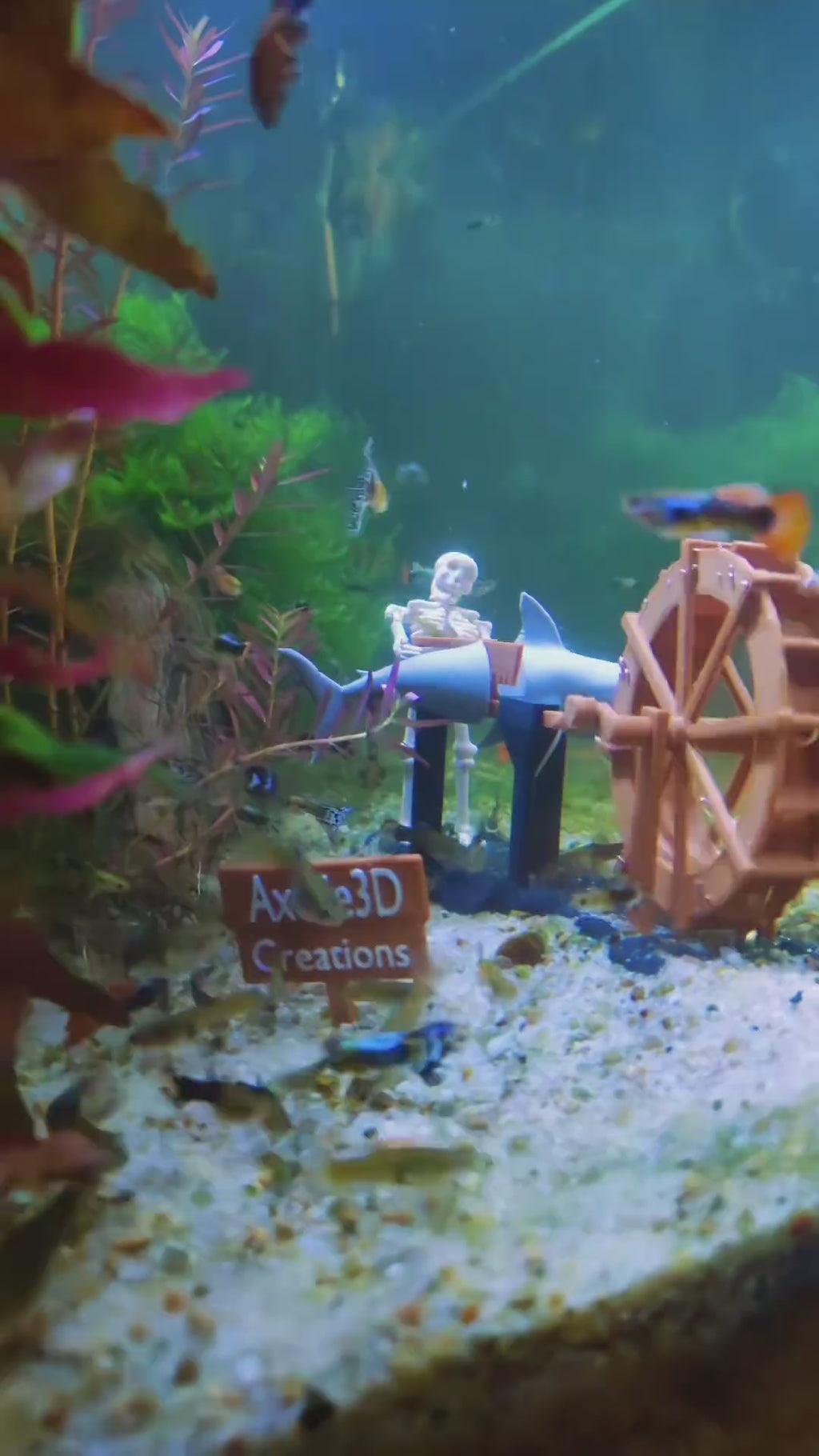 Skeleton shaking water car